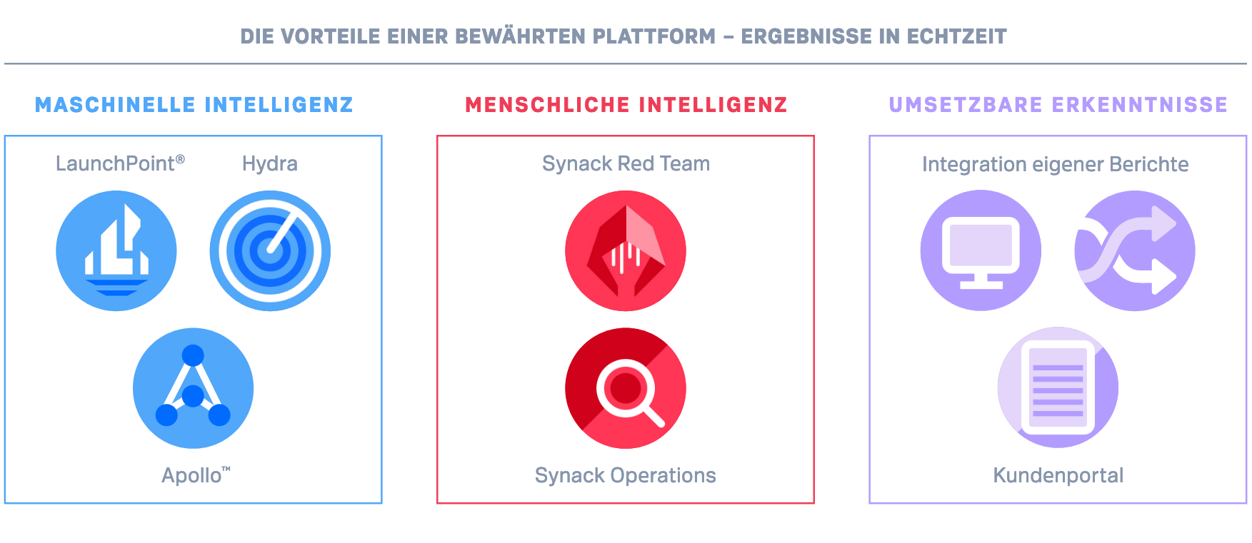 Synack Plattform